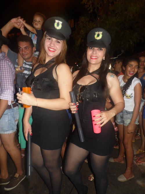 Os Gatões batem novo recorde e fazem desfile mais longo da história - Imagem 5