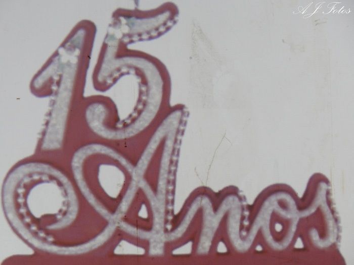 Família e amigos comemoraram os 15 anosda Jovem Elaine - Imagem 29