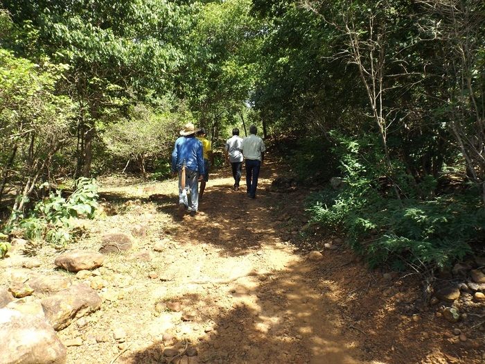 Mais estradas estão sendo recuperadas em Oeiras - Imagem 1