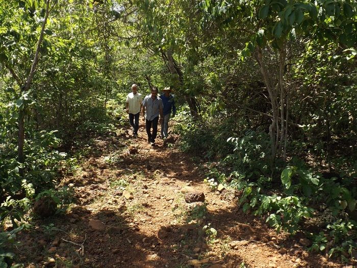 Mais estradas estão sendo recuperadas em Oeiras - Imagem 3