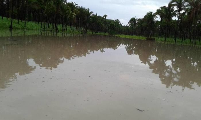 Açude construído pela prefeitura de Barras já esta cheio - Imagem 3