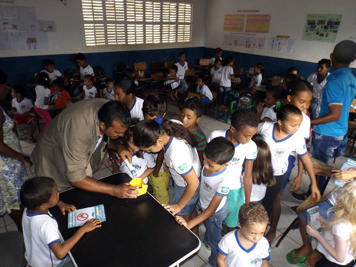 Combate ao Aedes aegypti continua em Oeiras - Imagem 25