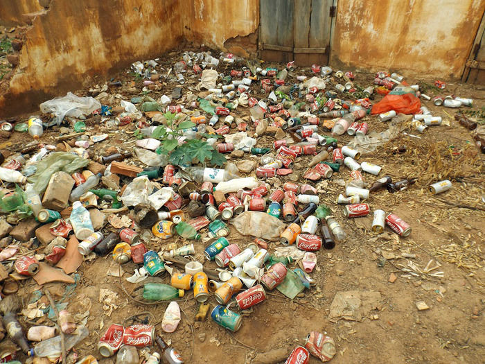 Combate ao Aedes aegypti continua em Oeiras - Imagem 6