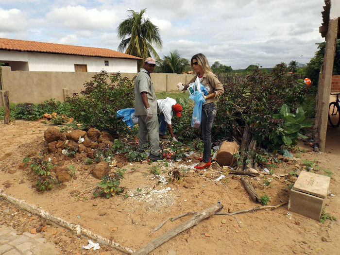 Combate ao Aedes aegypti continua em Oeiras - Imagem 11