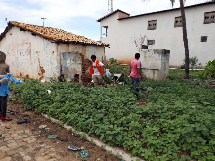 Combate ao Aedes aegypti continua em Oeiras - Imagem 3