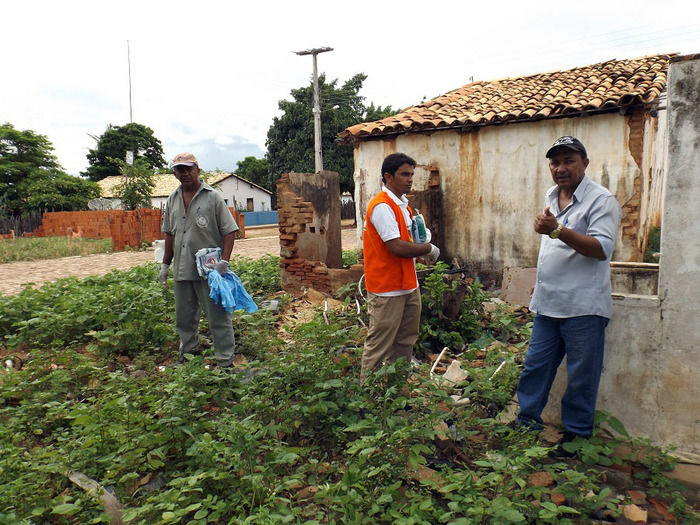 Combate ao Aedes aegypti continua em Oeiras - Imagem 7