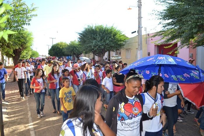 Prefeitura realiza grande mobilização contra o Aedes aegypti - Imagem 44