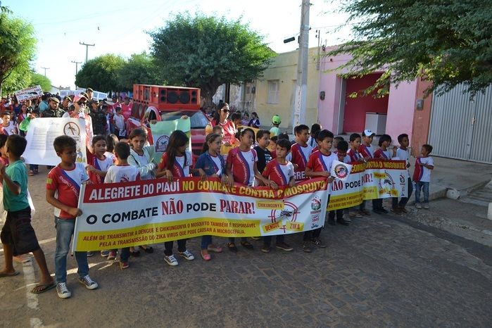 Prefeitura realiza grande mobilização contra o Aedes aegypti - Imagem 39