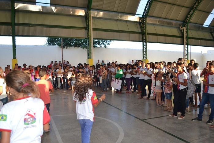 Prefeitura realiza grande mobilização contra o Aedes aegypti - Imagem 88