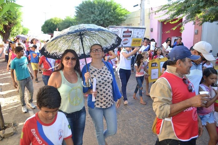 Prefeitura realiza grande mobilização contra o Aedes aegypti - Imagem 42