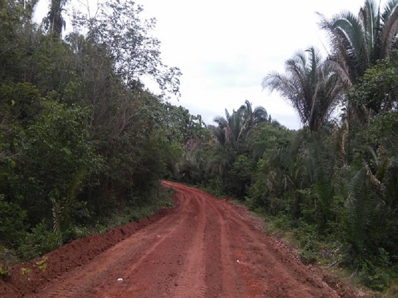Patrulha Mecanizada mantém qualidade de estradas em Monsenhor Gil