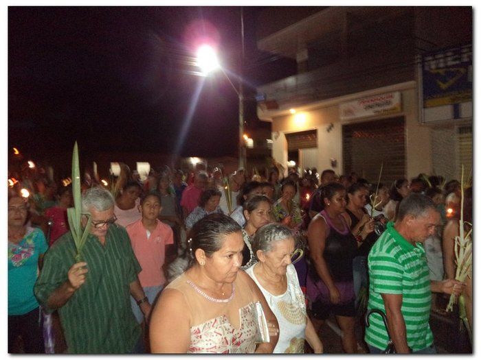 Procissão Domingo de Ramos em Inhuma - Imagem 4