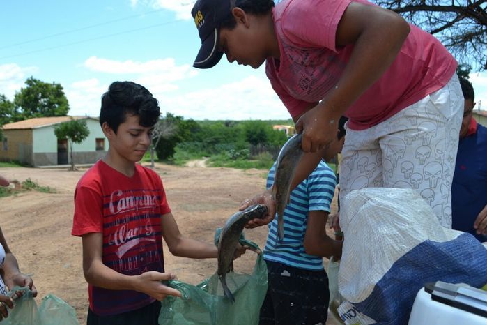 Prefeitura de Alegrete distribui peixes para a população - Imagem 32