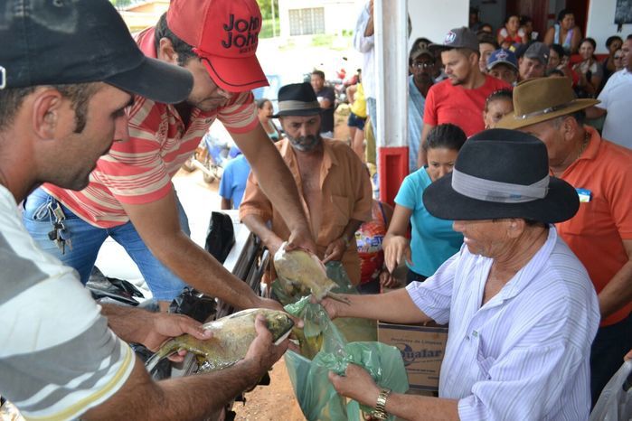 Prefeitura de Alegrete distribui peixes para a população - Imagem 37