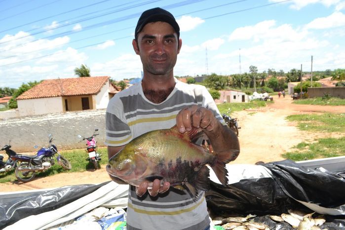Prefeitura de Alegrete distribui peixes para a população - Imagem 26