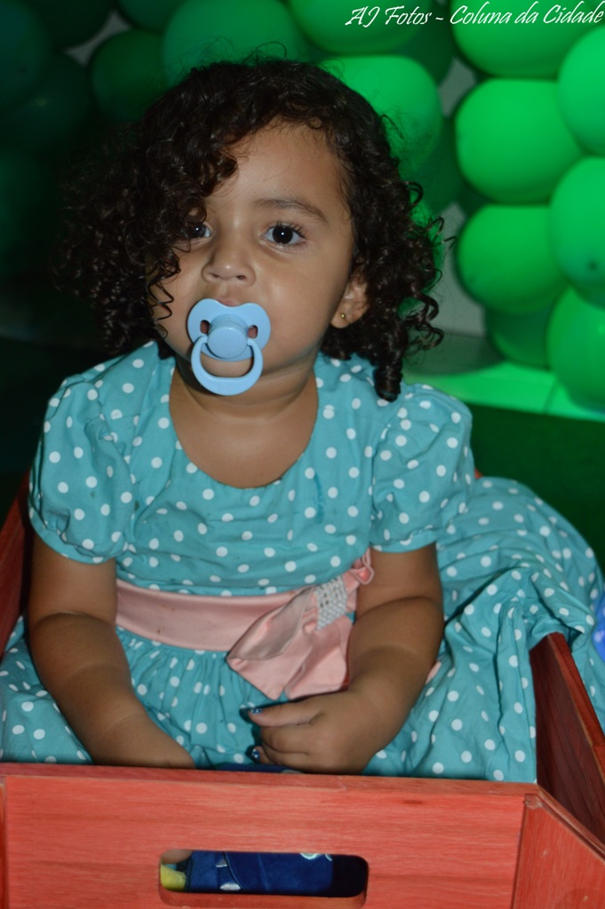 Aniversário de 02 aninho de Adely Maria  - Imagem 55