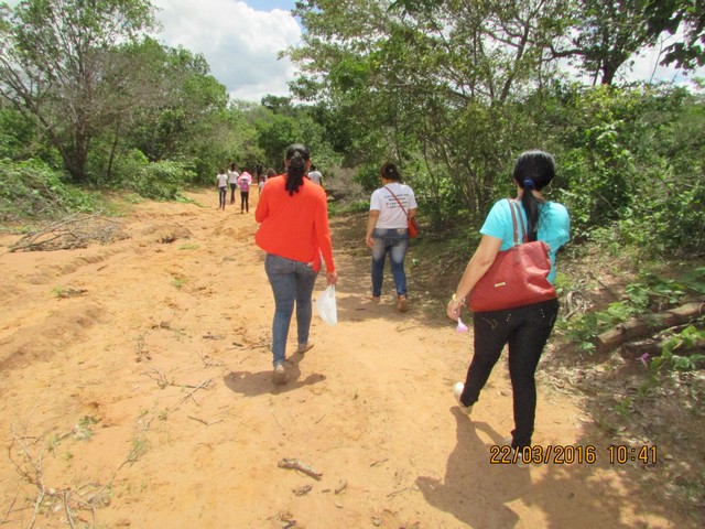 Escola Municipal Liberato Vieira Realiza Aula de Campo - Imagem 40