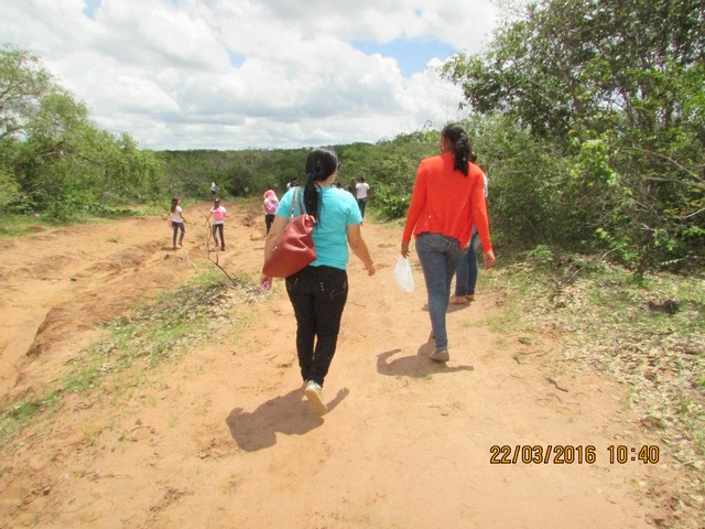 Escola Municipal Liberato Vieira Realiza Aula de Campo - Imagem 39