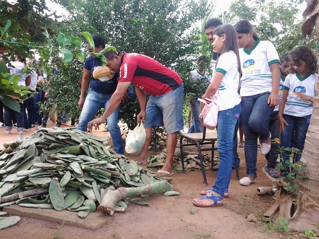 Escola Municipal Liberato Vieira Realiza Aula de Campo - Imagem 16
