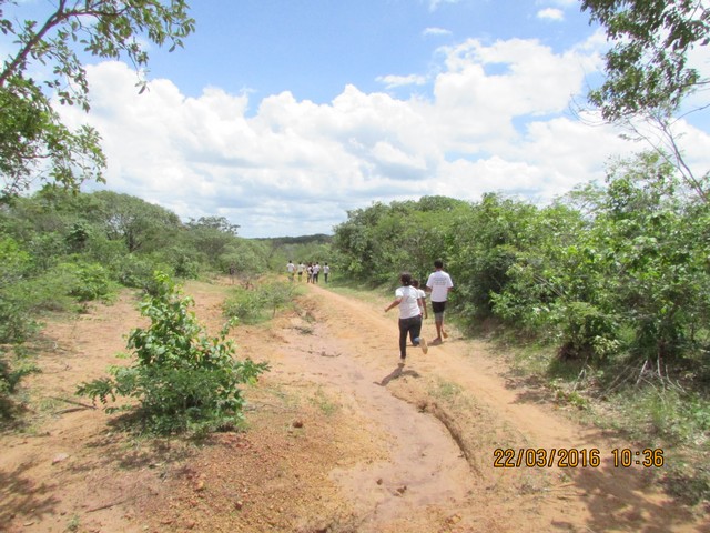Escola Municipal Liberato Vieira Realiza Aula de Campo - Imagem 38