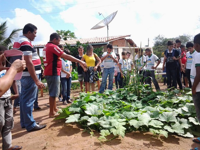 Escola Municipal Liberato Vieira Realiza Aula de Campo - Imagem 1