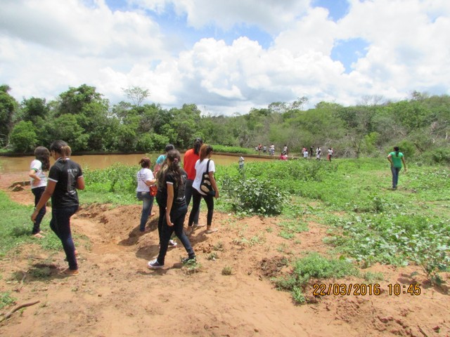 Escola Municipal Liberato Vieira Realiza Aula de Campo - Imagem 41