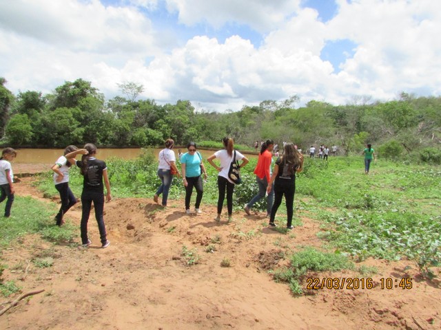 Escola Municipal Liberato Vieira Realiza Aula de Campo - Imagem 42