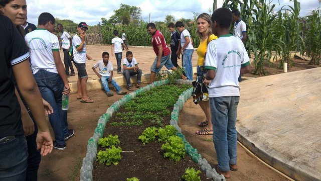 Escola Municipal Liberato Vieira Realiza Aula de Campo - Imagem 12