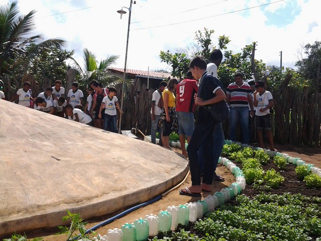 Escola Municipal Liberato Vieira Realiza Aula de Campo - Imagem 14