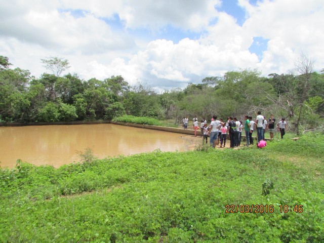 Escola Municipal Liberato Vieira Realiza Aula de Campo - Imagem 43