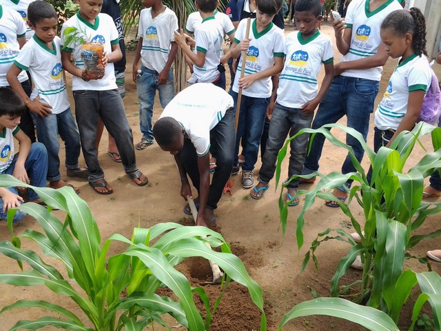 Escola Municipal Liberato Vieira Realiza Aula de Campo - Imagem 25