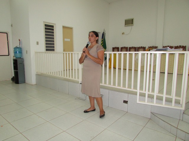 Prefeitos se reúnem na primeira reunião ordinária do CTVS 2016 - Imagem 4