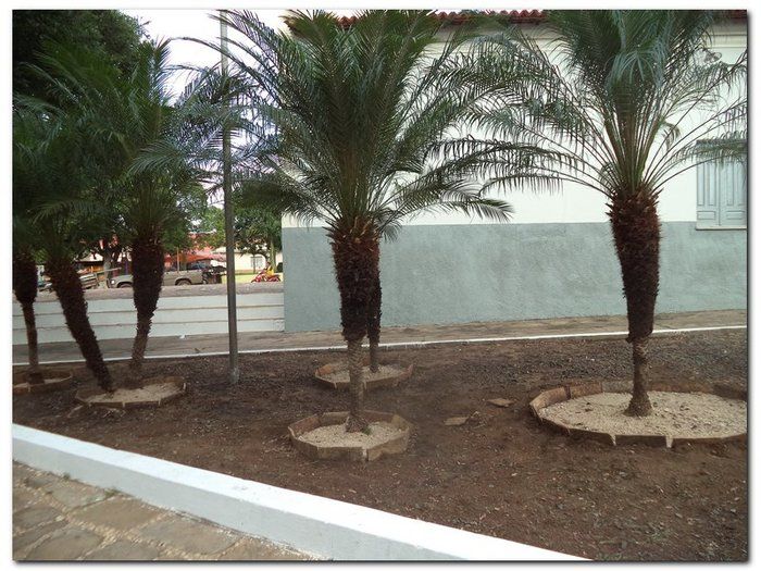 Participe do Festejo do Padroeiro São José-10 a 19 de março- Inhuma - Imagem 6