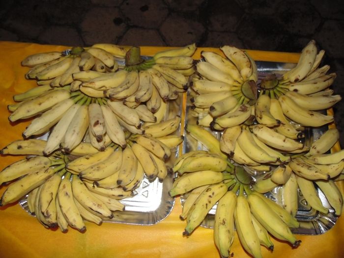 Sucesso na realização do I Cicloturismo da Cidade  - Imagem 5