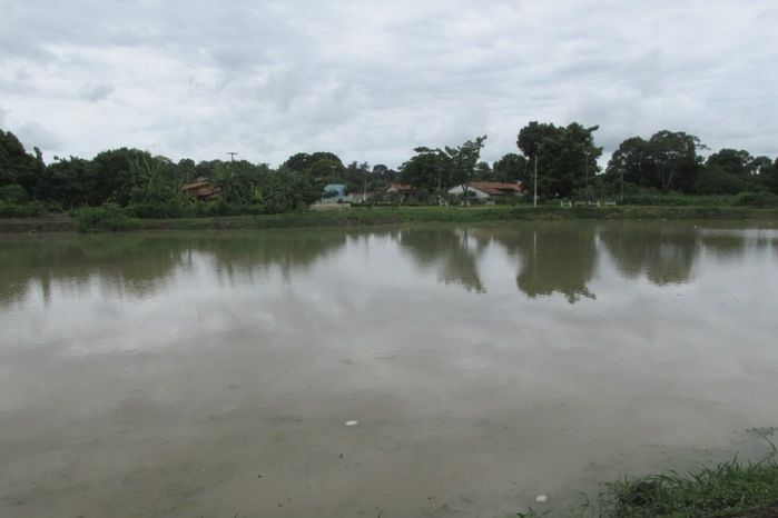 Lagoa da Baixa em Agricolândia Faça-nos uma visita na Semana Santa - Imagem 6