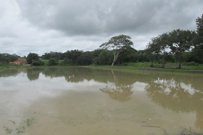 Lagoa da Baixa em Agricolândia Faça-nos uma visita na Semana Santa - Imagem 2