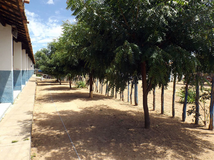 Povoado Várzea Tranqueira recebe obras de melhorias - Imagem 3