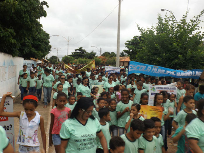  Mutirão de enfrentamento ao mosquito AEDES EGYPIT. - Imagem 8