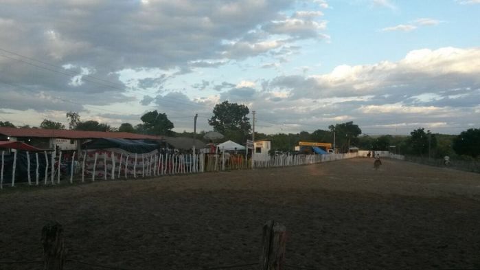 Irmãos Feitosa realiza a X edição da vaquejada no Chico Maricô - Imagem 21