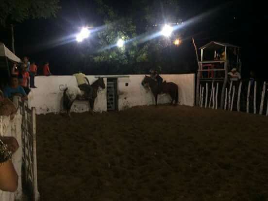 Irmãos Feitosa realiza a X edição da vaquejada no Chico Maricô - Imagem 24