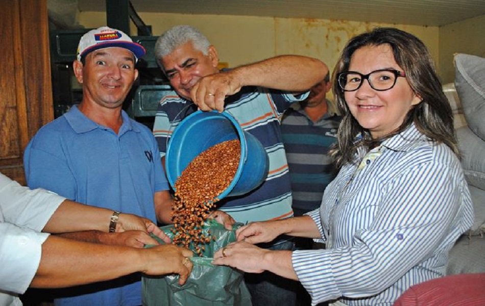 município começa a distribuir o feijão as famílias de baixa renda 