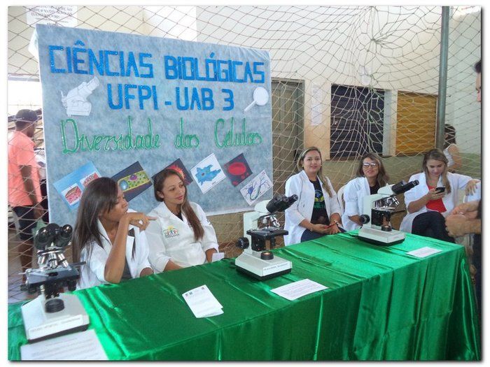 II Encontro Interdisciplinar de Educação à Distância Polo de Inhuma - Imagem 71