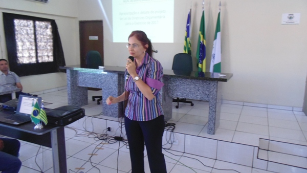 População participa de audiência pública em Santo Inácio   - Imagem 20