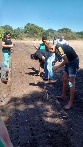 Prefeitura  e EMBRAPA Desenvolvem Projeto Para Produção de Alho - Imagem 11