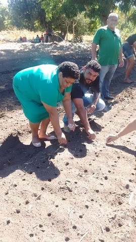 Prefeitura  e EMBRAPA Desenvolvem Projeto Para Produção de Alho - Imagem 9