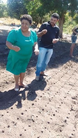 Prefeitura  e EMBRAPA Desenvolvem Projeto Para Produção de Alho - Imagem 7
