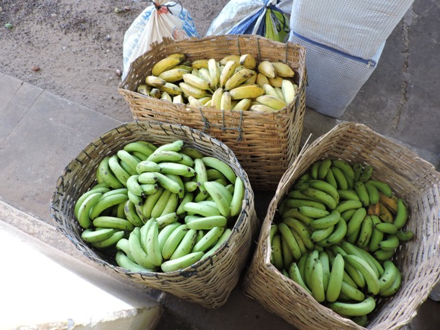 Pref. de União prioriza Agricultura Familiar na merenda escolar - Imagem 2