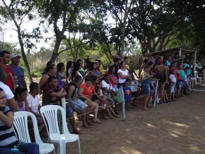 Resultado final dos campeonatos masculino e feminino de futebol - Imagem 10