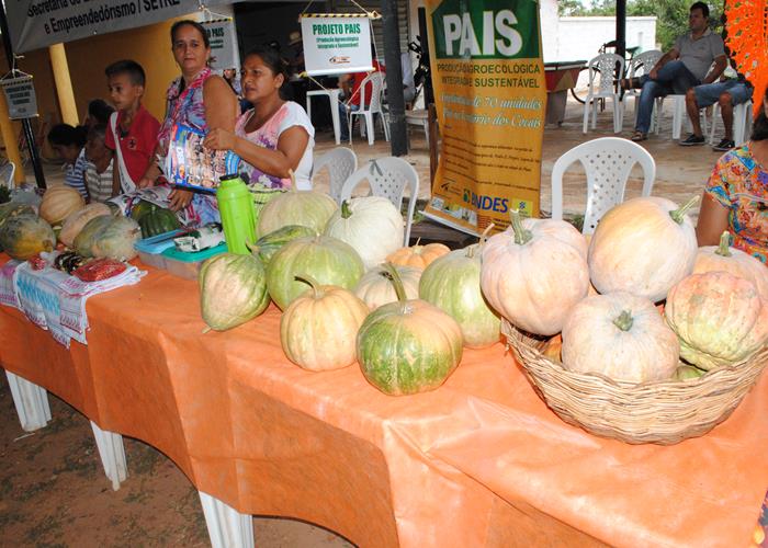 13ª edição do Festival de Inverno poderá ficar na história  - Imagem 67