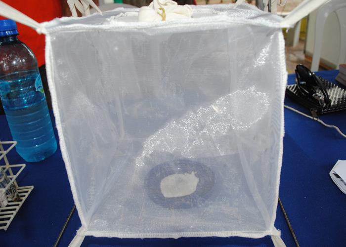 13ª edição do Festival de Inverno poderá ficar na história  - Imagem 238